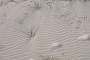 Rippling sand