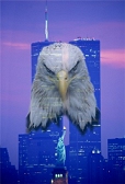 eagle in front of WTC towers